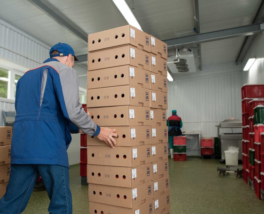 Food and beverage warehouse worker moving boxes